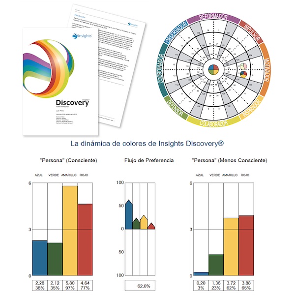 El Perfil Personal Insights Discovery